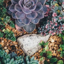 Guidance for Sustainability Professionals – Integrating Nature into Every Job